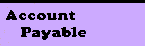 btn: Account Payable
